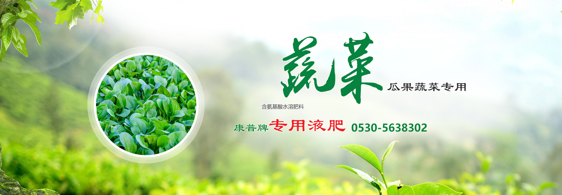 常見問題